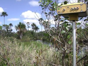 Acompanhamento e Locação de Obra em Paranaguá